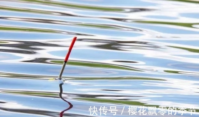 子线|浮漂为什么会有力的“一顿”?钓鱼大师一点就透,终于明白了