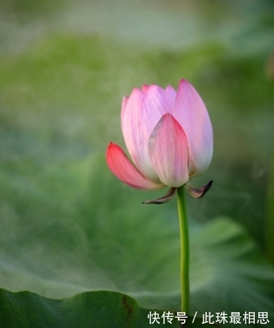 一旺|11月份，大喜登门，4属相中大奖发大财，事业进步，生活顺风顺水