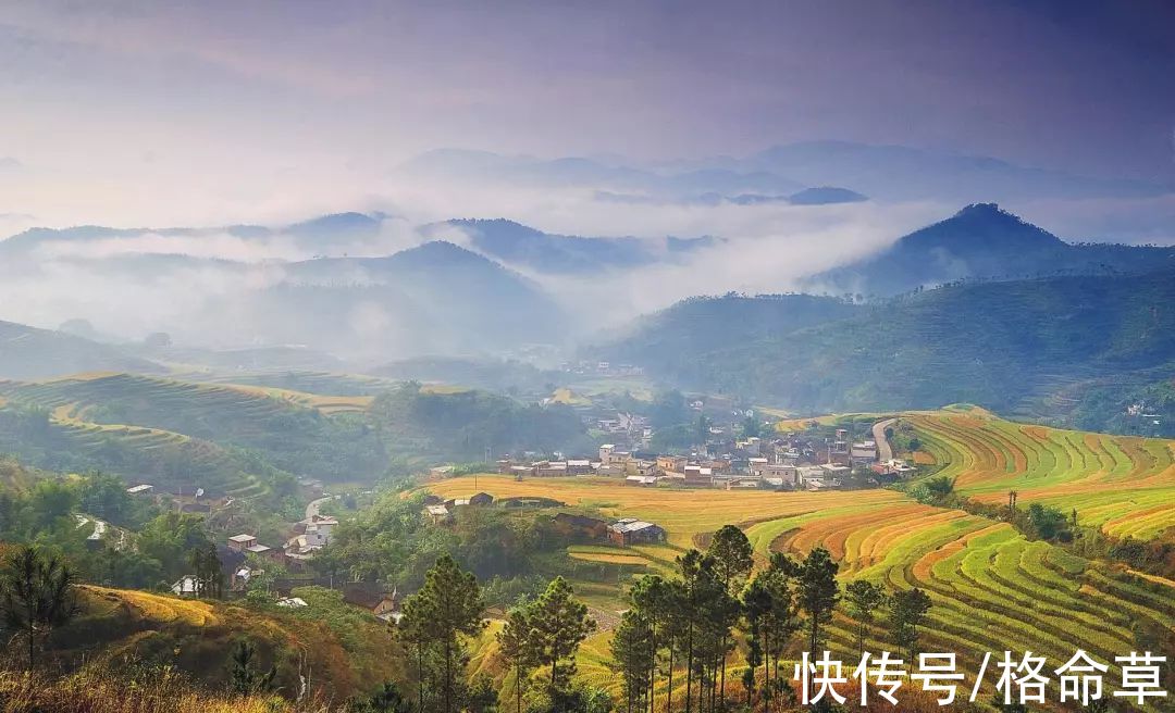 早行$10首早行诗词｜寂寞小桥和梦过，稻田深处草虫鸣