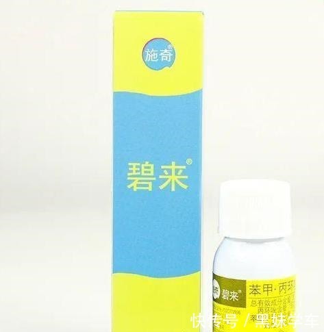 杀不死的“小黑飞”教你4种方法,整个夏天养花,清净了!