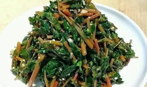 中国公认最好吃的7大野菜,你若是全吃过,请收下我的“膝盖”