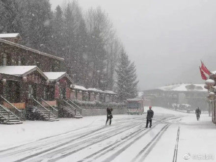 降雪|美！雪乡迎来第一场雪！