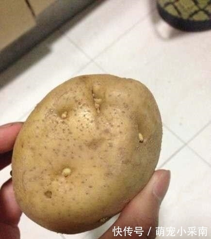 长芽的土豆还能不能吃?原来多年一直误解了,越早让家人知道越好