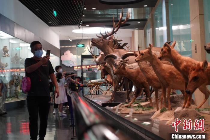 冷门|从冷门走向热门，中国“小众”博物馆的“变身三计”