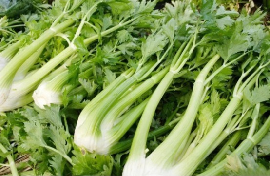 尿酸过高|高尿酸的“元凶”出现了,专家表示不想肾脏衰竭,4种食物多吃