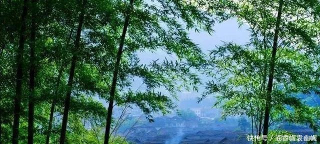 变得|“至乐无乐,至誉无誉”人一旦开始追求快乐,就会变得不快乐