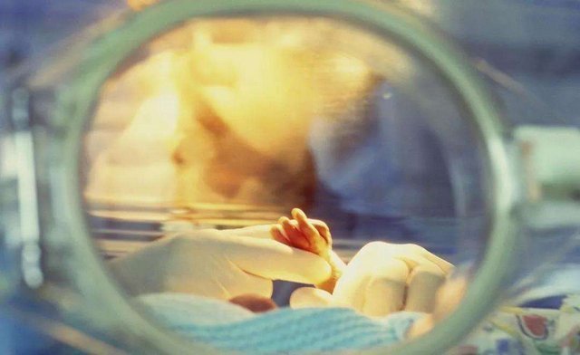 胎儿|早产儿仅1斤,医生称存活几率低,宝宝的举动感动众人