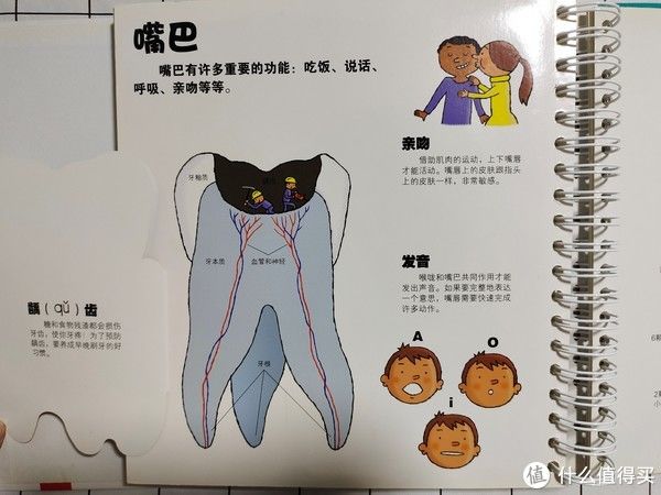 青春期|木子育儿 篇二十五:给孩子的性教育怎么做?家有女孩建议备上这些书籍