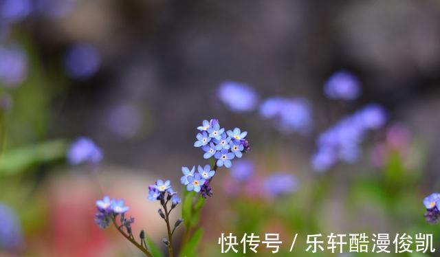 处女座|未来一周，咸鱼大翻身，事业直冲云霄，彻底告别贫穷的3星座