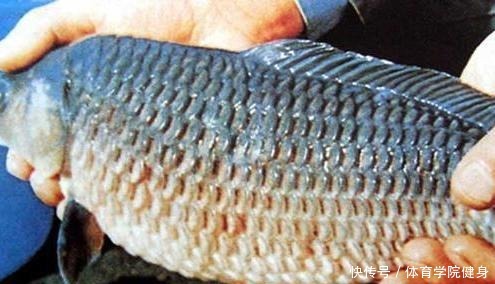 吃不得|钓到病鱼、畸形鱼能吃吗别贪嘴,有些鱼吃不得,还是放流为好