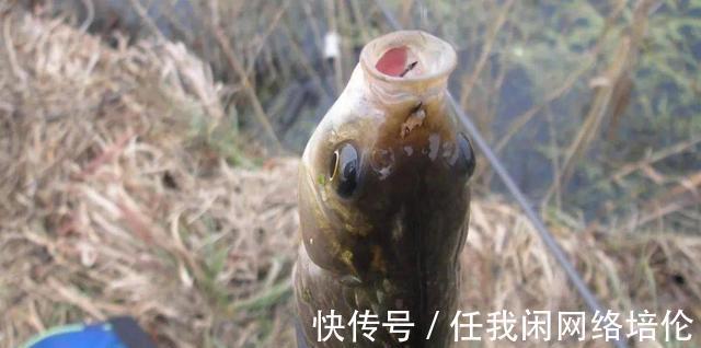 冬季野钓,当出现这4种天气时,建议钓友们不要放过