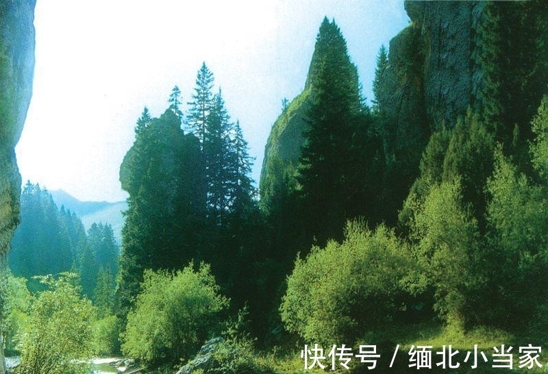 这首诗&王维很经典的1首绝句,如果现在参赛,未必能获奖,你觉得呢?