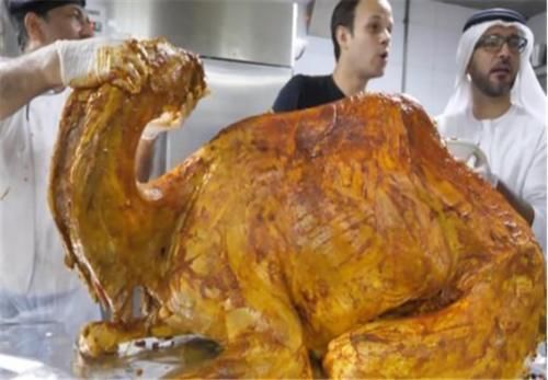 终于|看完迪拜人家庭的一日三餐,终于明白贫穷限制一个人的想象