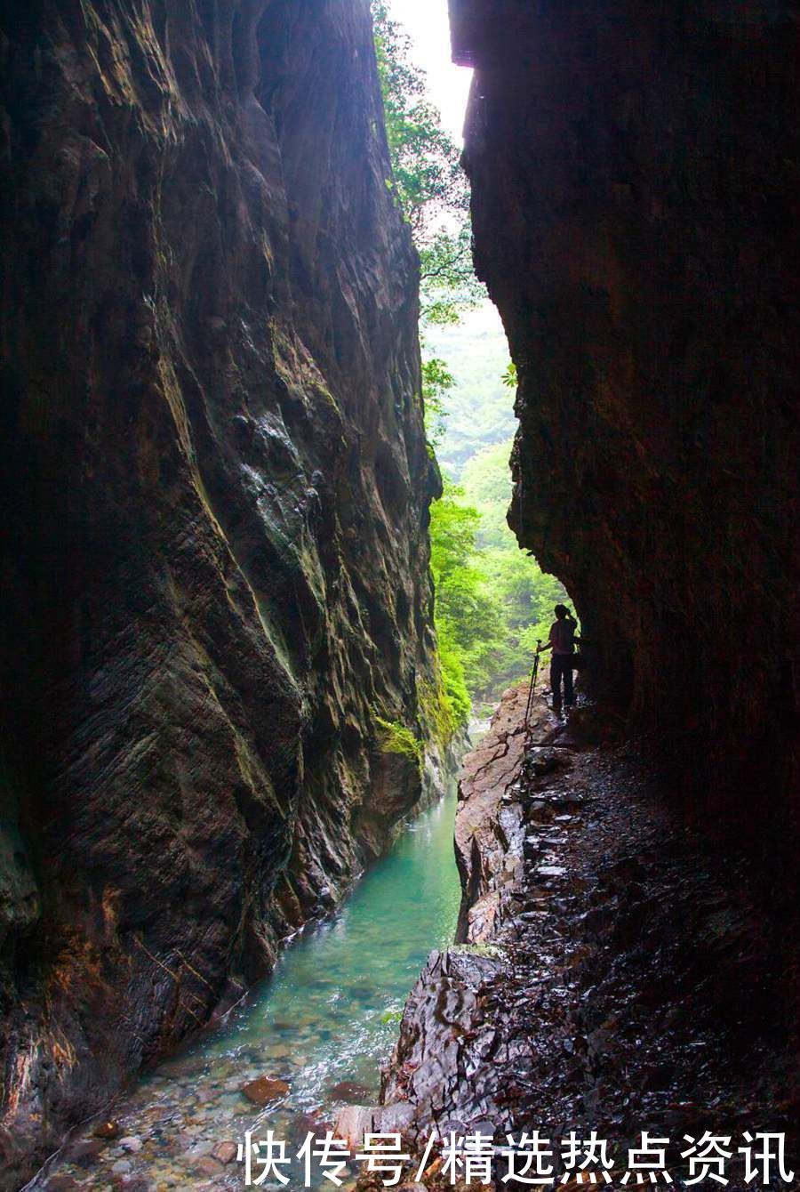 神农架|重庆五里坡成为世界自然遗产地