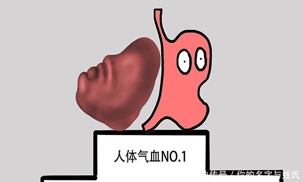 气血|人老了之后,容易气血不足,常用这些食物熬着吃,把气血补回来