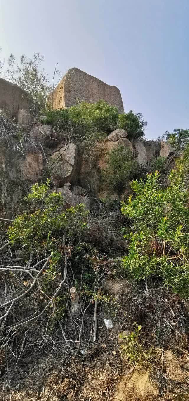 春日再游香山（作者：漳浦 宽心）