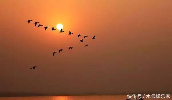 下联#千古绝对!上联“公鸡打架头对头”, 唐伯虎试对的下联太经典了