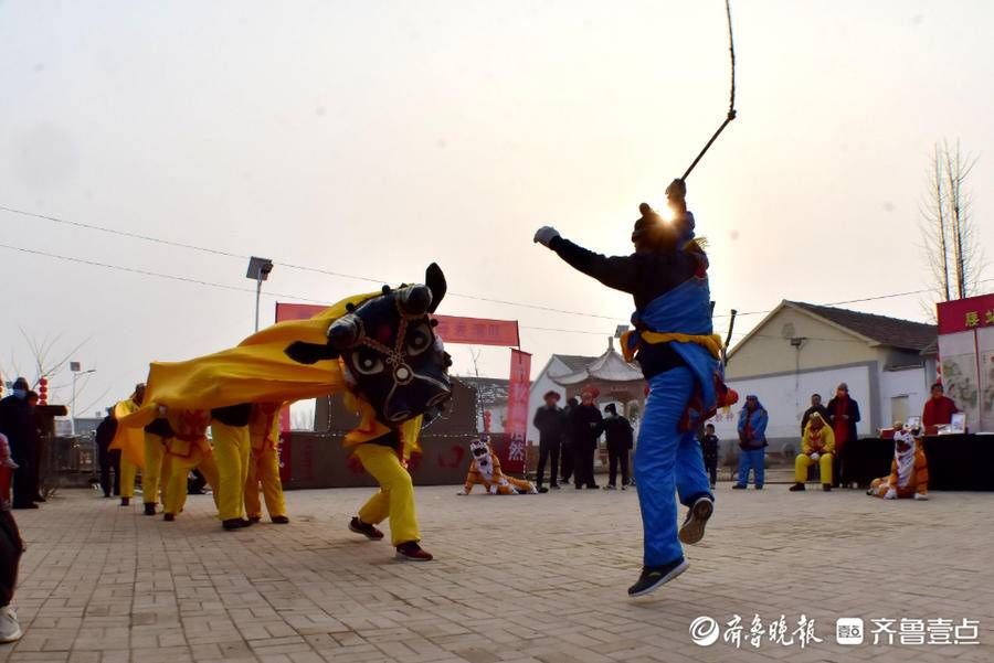 锣鼓点！德州非遗表演年味浓！牛虎争亮相，传承百年牛斗虎