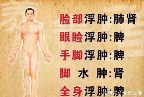 肾虚|脾虚比肾虚更可怕脾有病,人就废一半,虚不虚看你的嘴就知道