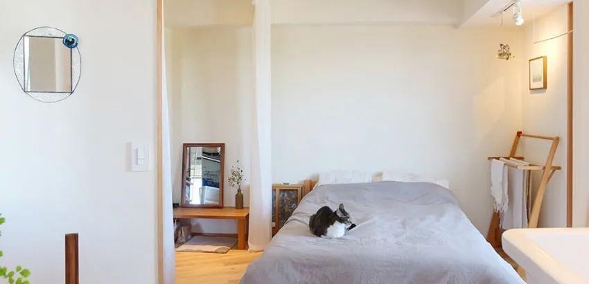 装置物架|这套住宅暗藏心机,两人一猫蜗居65㎡,同是小户型却有2倍宽敞