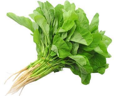 状元红|红苋菜与白苋菜食疗差别大,白苋菜的功效连医生都知之甚少