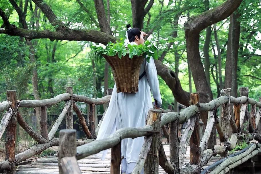 东晋一道士修仙,写本书流传千年,翻开一看:竟记载诺贝尔奖成果