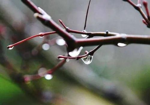 冬天只下雨，不下雪，看范成大怎么感慨