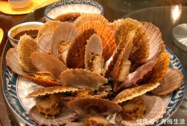 蒜蓉蒸扇贝|蒸扇贝,冷水上锅就错了,学学海边人做法,肉质鲜嫩,饱满不回缩