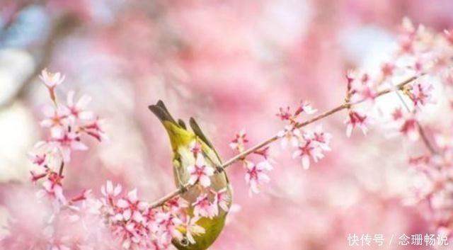 诗人&词中之帝李煜的一篇奇文,前三句美得令人心醉,写后三句时已灭国