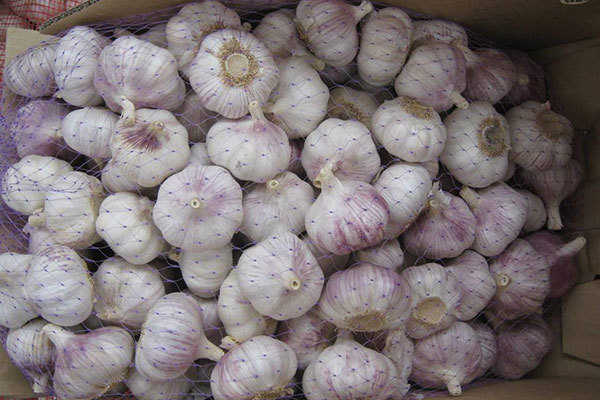 肝病患者|大蒜泡酒，越喝越有！大蒜泡酒的功效，你知道多少有你需要的吗