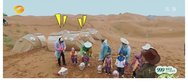 张亮林志颖带着孩子前往沙漠，花50块钱，挑战生存两天连夜48小时
