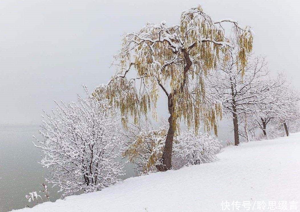  谢灵运《岁暮》，每到岁末，总要深深感慨一回