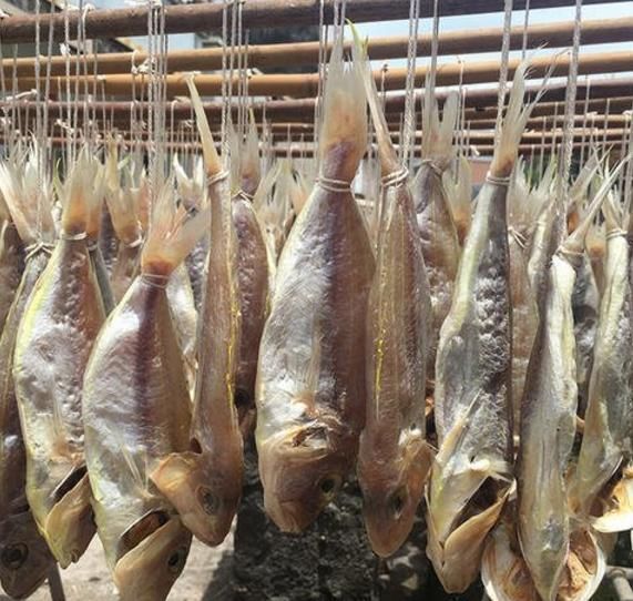 禁忌|常吃鱼,利长寿,但吃鱼也有禁忌,2种鱼最好少吃,3个部位不要碰