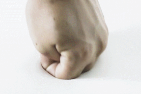 马毛|你想在价值10万元的床垫上滚床单吗?