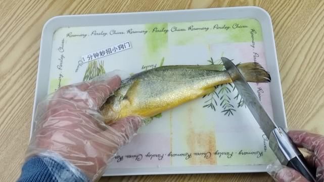 今天才知道，刮鱼鳞只需一个塑料袋，不飞溅不脏手，简单实用