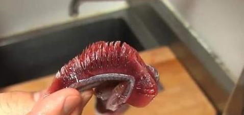 禁忌|常吃鱼,利长寿,但吃鱼也有禁忌,2种鱼最好少吃,3个部位不要碰