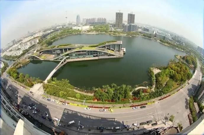  艺术|是自然的声籁，也是艺术的回响，它们在青浦悄悄发着光！