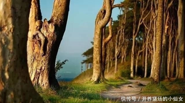 少女|18张图都隐藏着少女,找出6个正常,9个聪明,14个以上天才