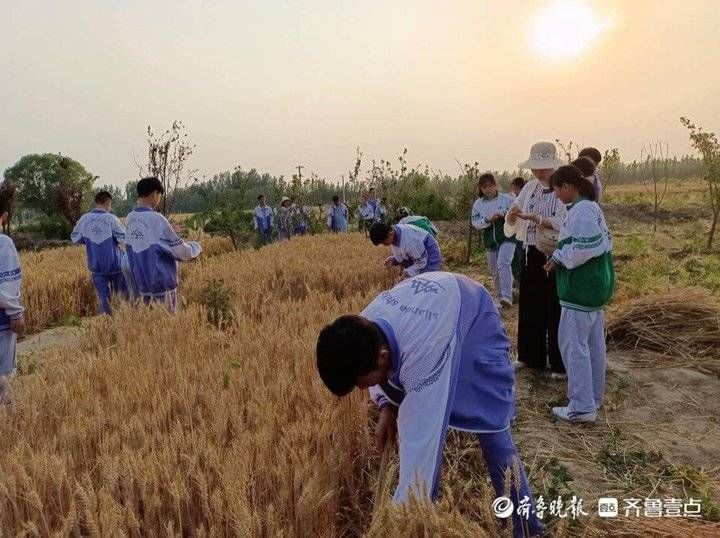 学生们|菏泽市定陶区山大附中实验学校：“八亩地”奏响劳动教育