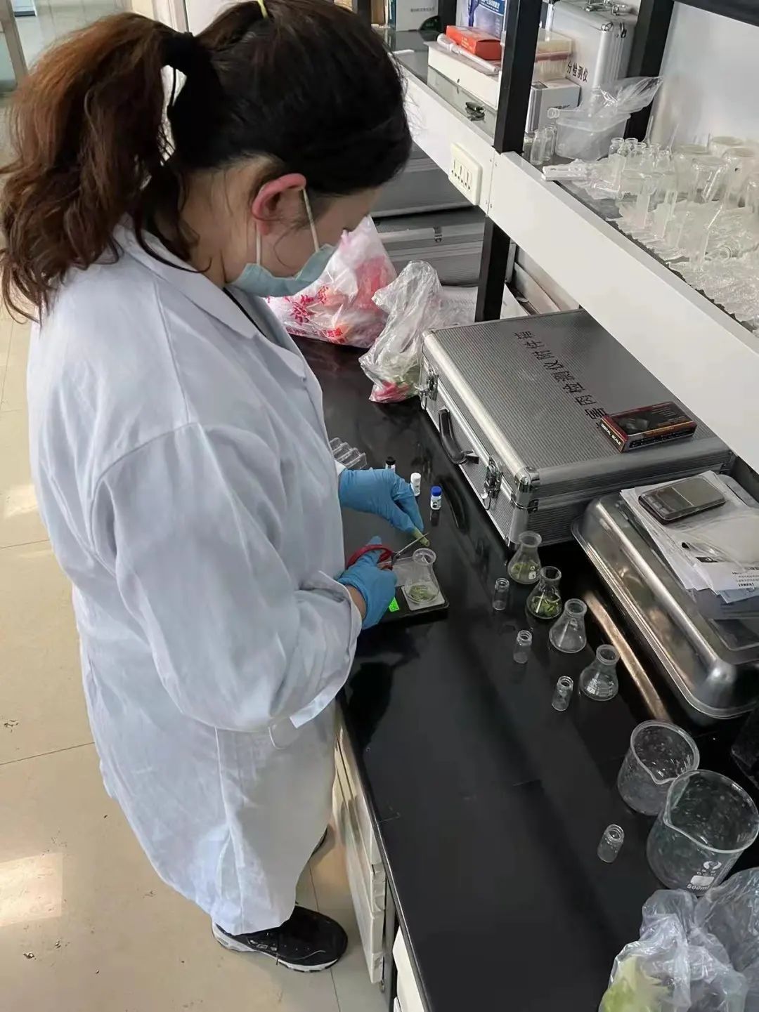 蓝色素|腊八蒜为啥是绿的？吃腊八蒜可以预防感冒？丨元月10日农产品检验结果公示