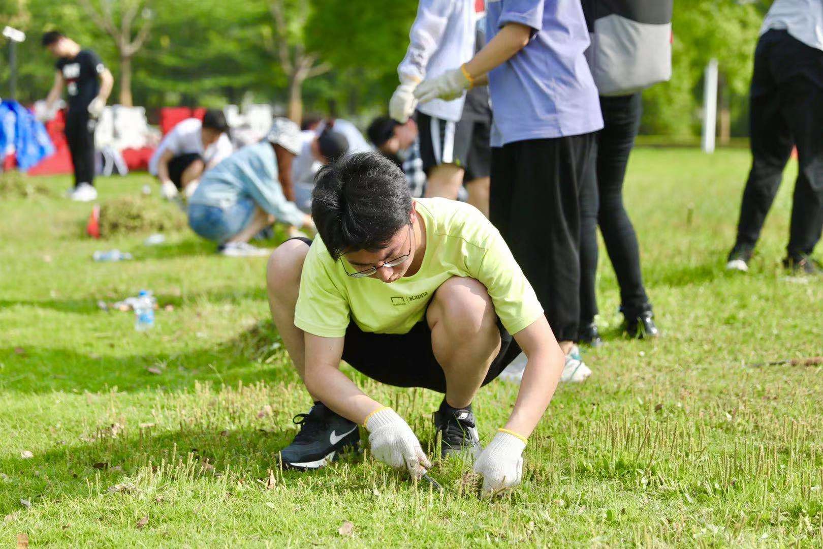 绿化|会写代码、做设计，还得会园艺！5月劳动月，上海交大校园景观设计和维持由全体学生分片承包