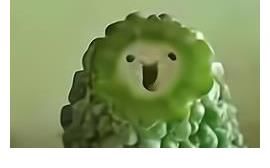 姚安娜|《中餐厅5》真是可惜了，高开低走，越播越难看，龚俊都救不了