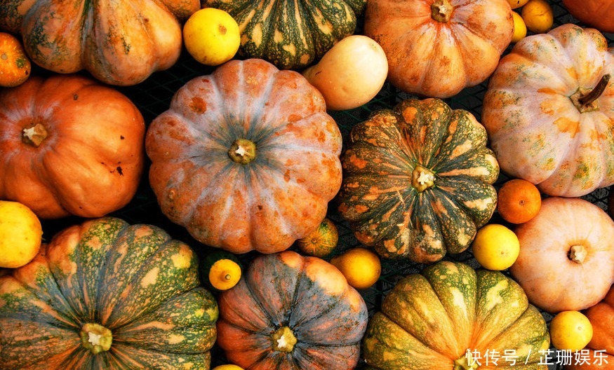  生长期短，收益高，这款农产品可是不容错过的“潜力股”