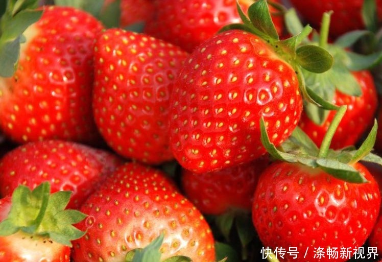 草莓|女人常吃此水果,能保护视力、延缓衰老,值得分享给家人