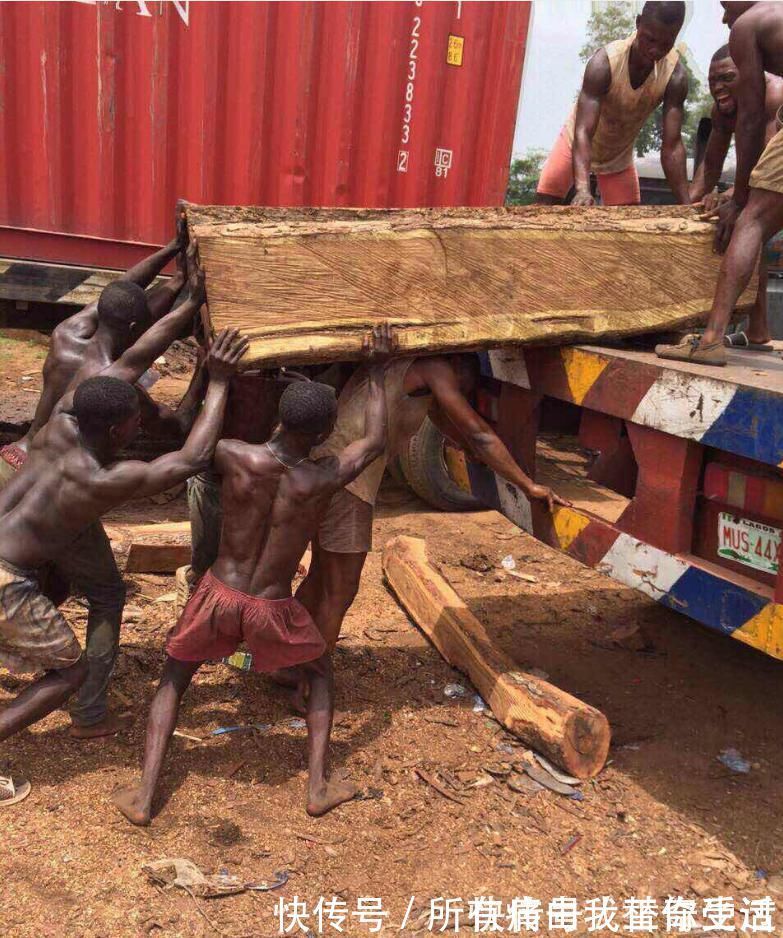 区别|“大果紫檀”“刺猬紫檀”你还在傻傻分不清吗?6种方法学会区别!