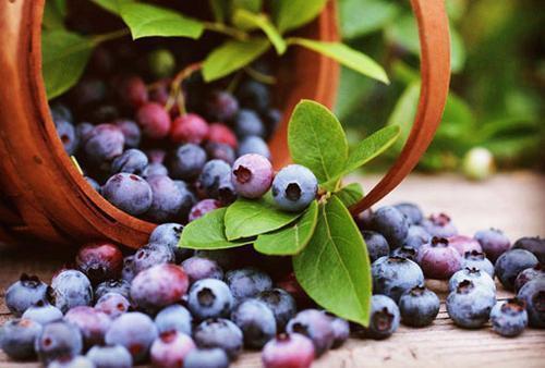 含糖量|三类食物助你减肥成功,不仅让你露出小蛮腰,还可以让你营养健康