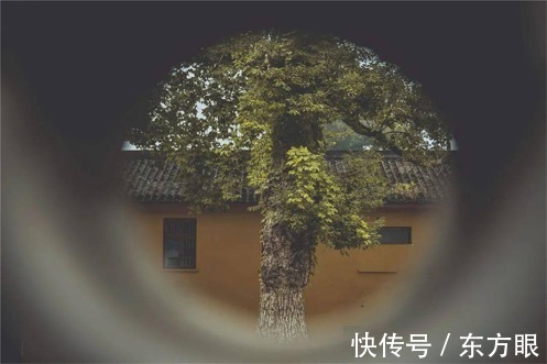 寿命#“气”决定您的寿命,一定要看!