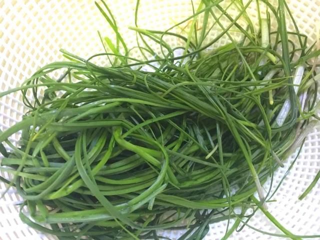 野葱！野葱！春天吃个野葱饼不香吗？