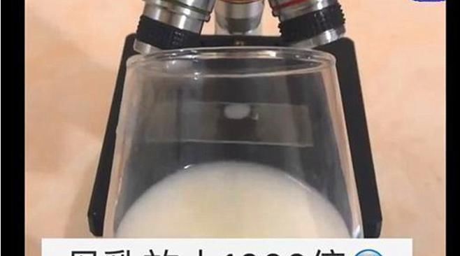 母乳|当母乳被放大1000倍,纯净得让人难以置信,太神奇了!
