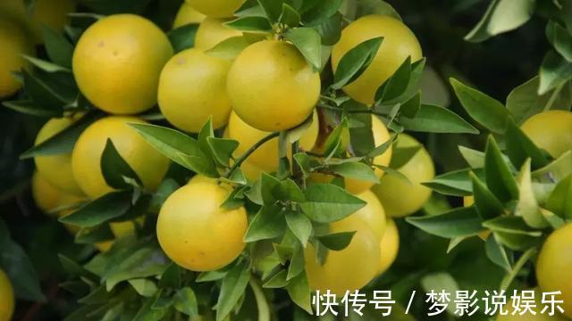 葡萄籽|家里4样水果一定要常买!活血降压、防癌,全是“大病克星”